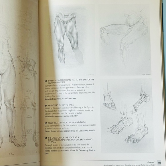 The Artists’ Guide to Human Anatomy An Illustrated Reference Hardcover Book - Picture 10 of 16
